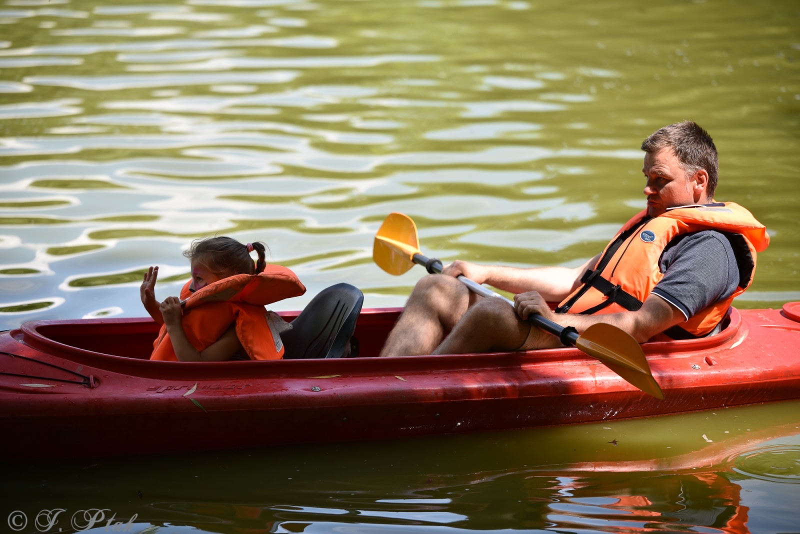 Zdjęcie w galerii na portalu naszraciborz.pl: Festiwal Górnej Odry przeniósł się do parku m. Roth wiadomości z regionu