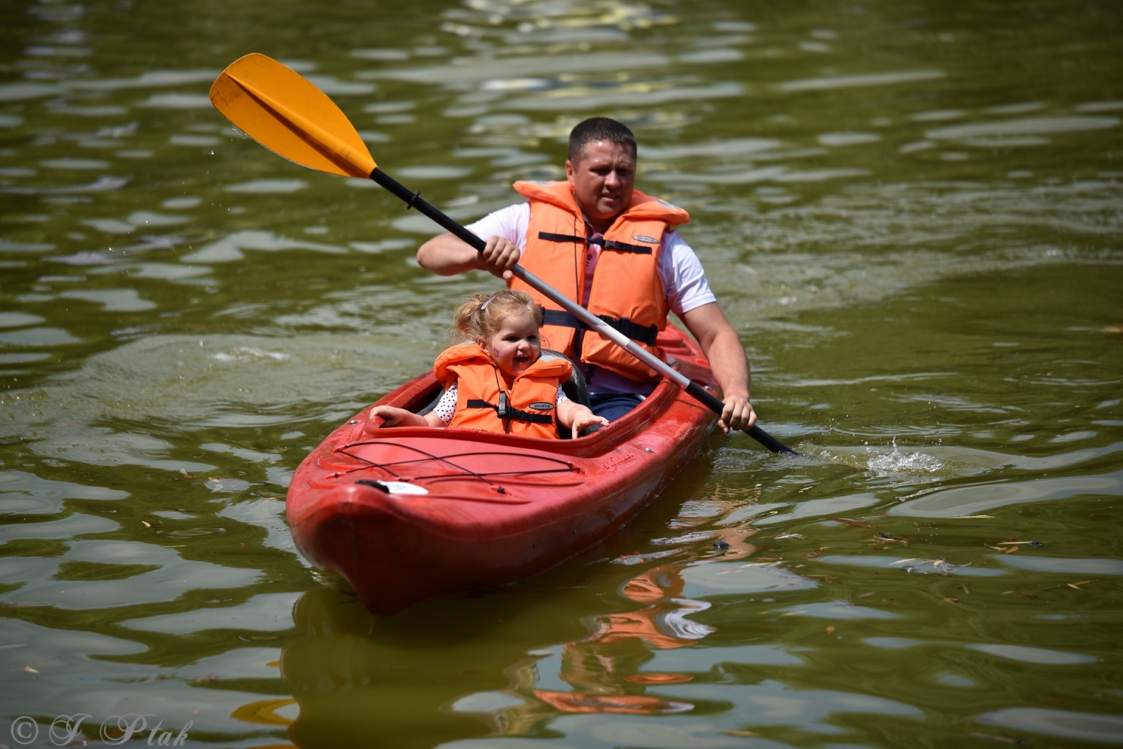 Zdjęcie w galerii na portalu naszraciborz.pl: Festiwal Górnej Odry przeniósł się do parku m. Roth wiadomości z regionu