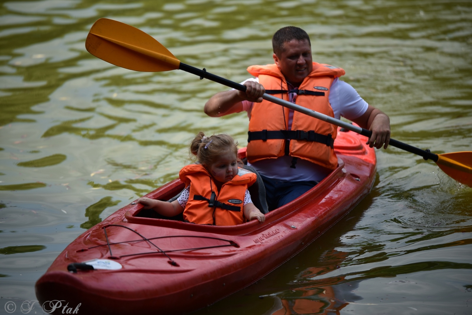 Zdjęcie w galerii na portalu naszraciborz.pl: Festiwal Górnej Odry przeniósł się do parku m. Roth wiadomości z regionu