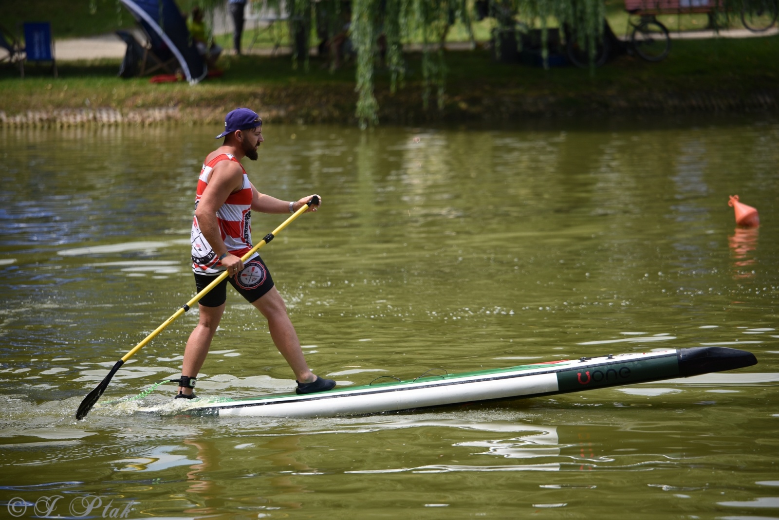 Zdjęcie w galerii na portalu naszraciborz.pl: Festiwal Górnej Odry przeniósł się do parku m. Roth wiadomości z regionu