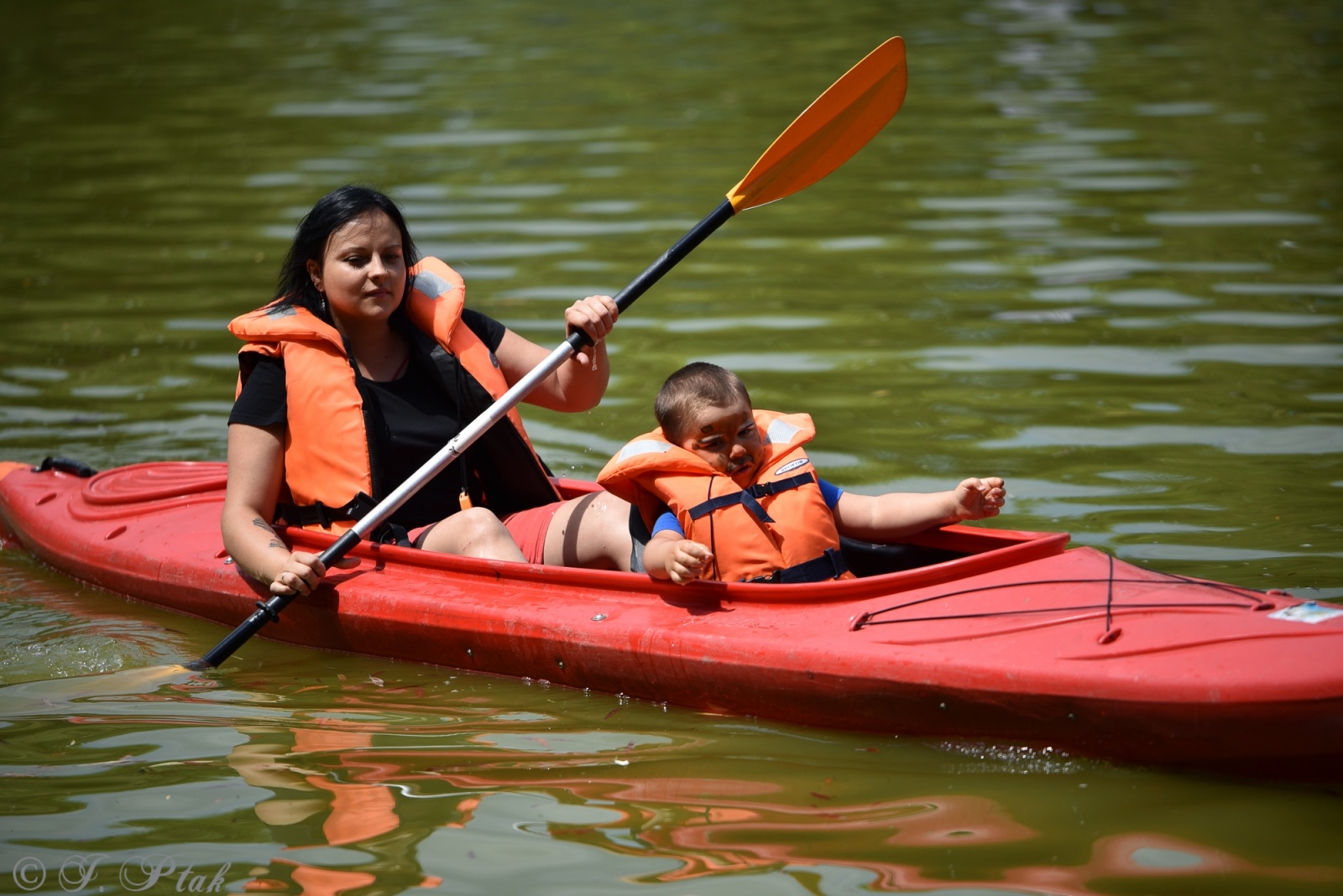 Zdjęcie w galerii na portalu naszraciborz.pl: Festiwal Górnej Odry przeniósł się do parku m. Roth wiadomości z regionu