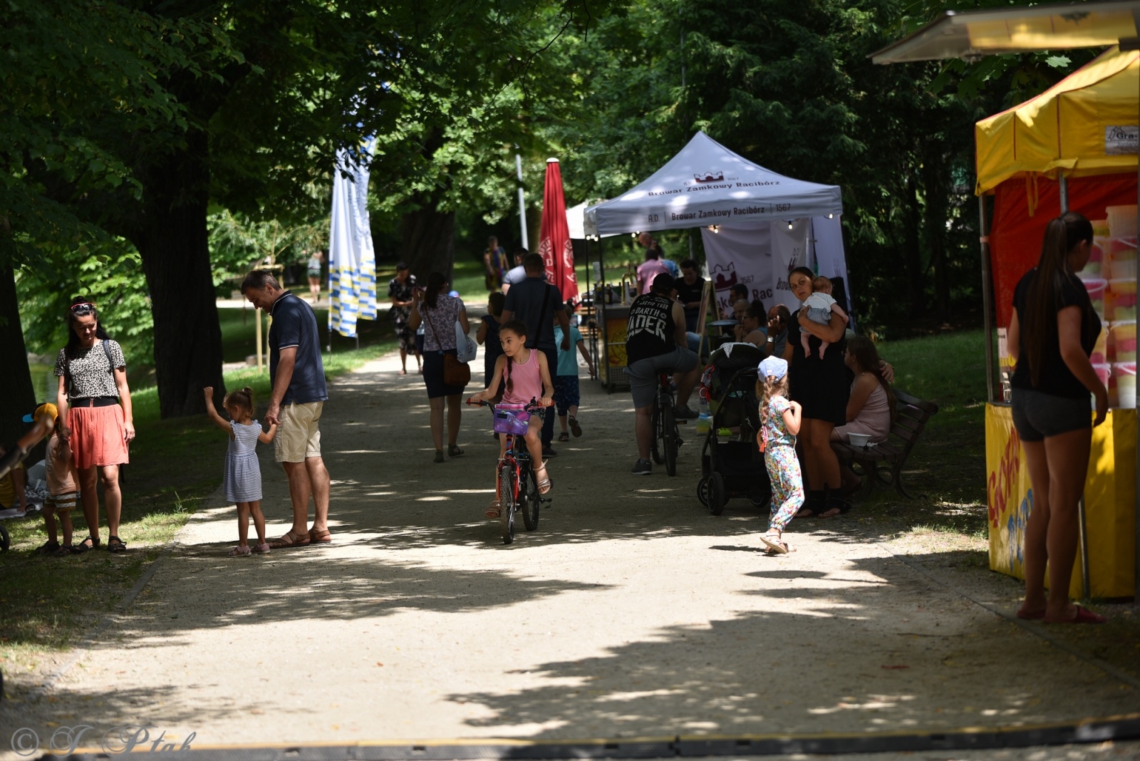 Zdjęcie w galerii na portalu naszraciborz.pl: Festiwal Górnej Odry przeniósł się do parku m. Roth wiadomości z regionu