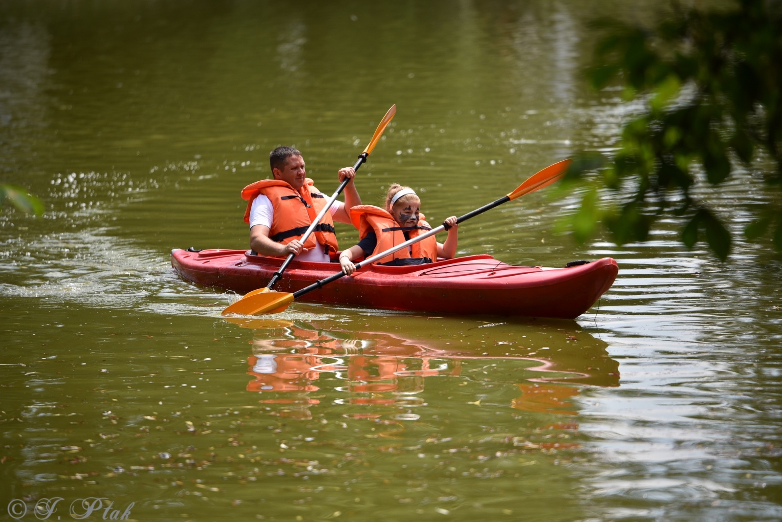 Zdjęcie w galerii na portalu naszraciborz.pl: Festiwal Górnej Odry przeniósł się do parku m. Roth wiadomości z regionu