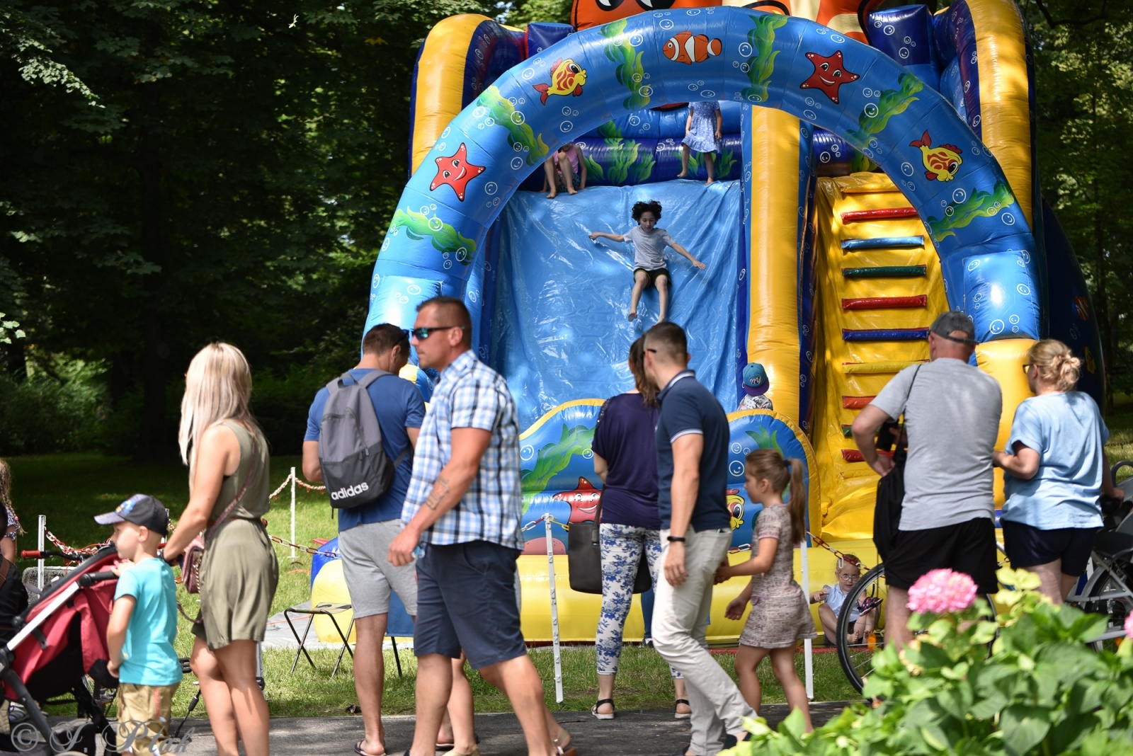 Zdjęcie w galerii na portalu naszraciborz.pl: Festiwal Górnej Odry przeniósł się do parku m. Roth wiadomości z regionu