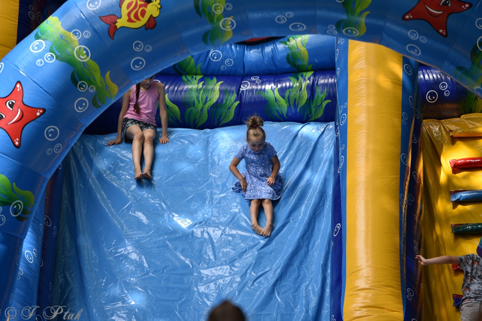 Zdjęcie w galerii na portalu naszraciborz.pl: Festiwal Górnej Odry przeniósł się do parku m. Roth wiadomości z regionu