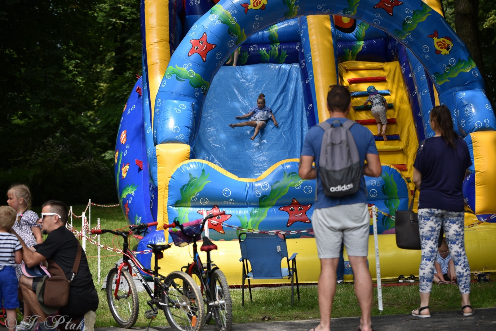 Zdjęcie w galerii na portalu naszraciborz.pl: Festiwal Górnej Odry przeniósł się do parku m. Roth wiadomości z regionu