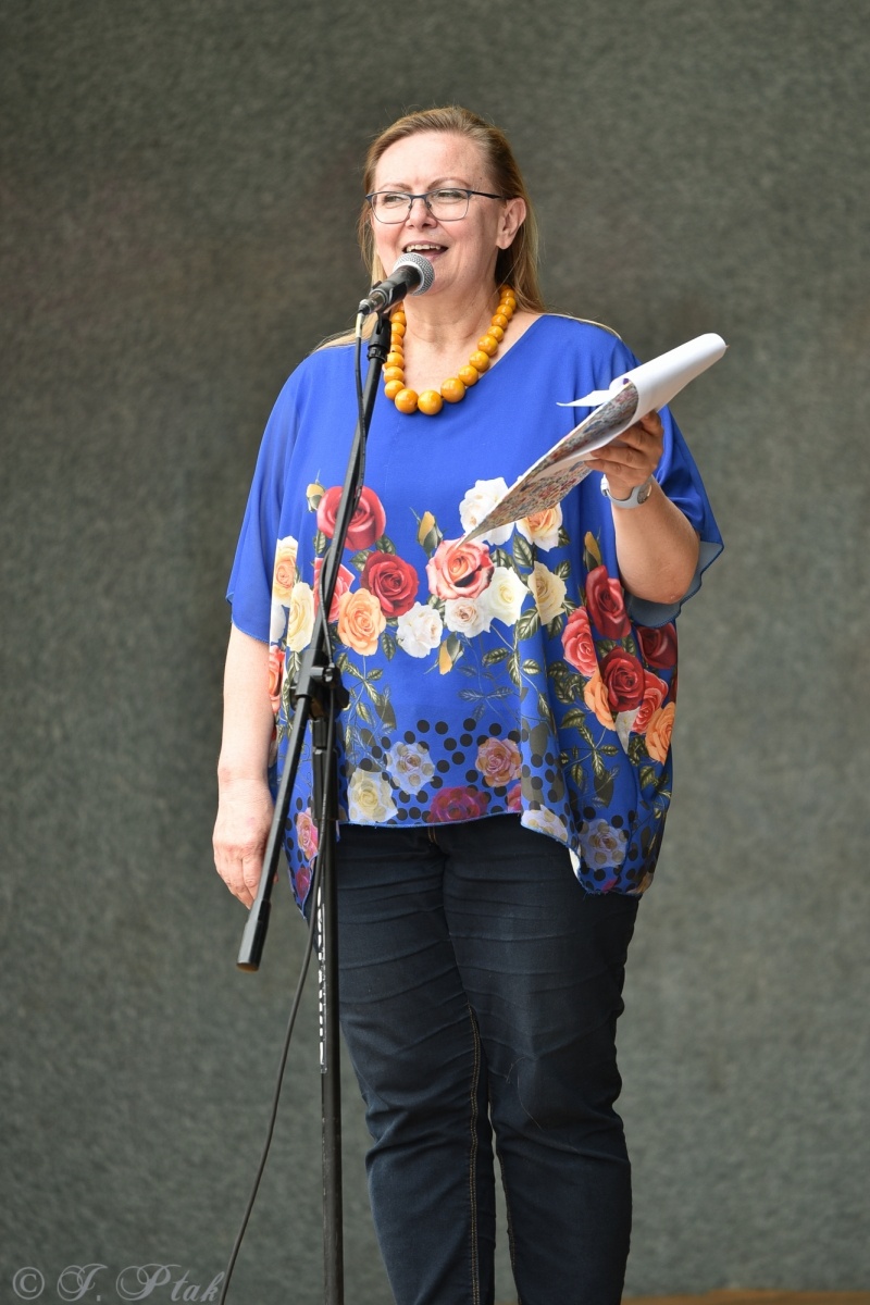 Zdjęcie w galerii na portalu naszraciborz.pl: Festiwal Górnej Odry przeniósł się do parku m. Roth wiadomości z regionu