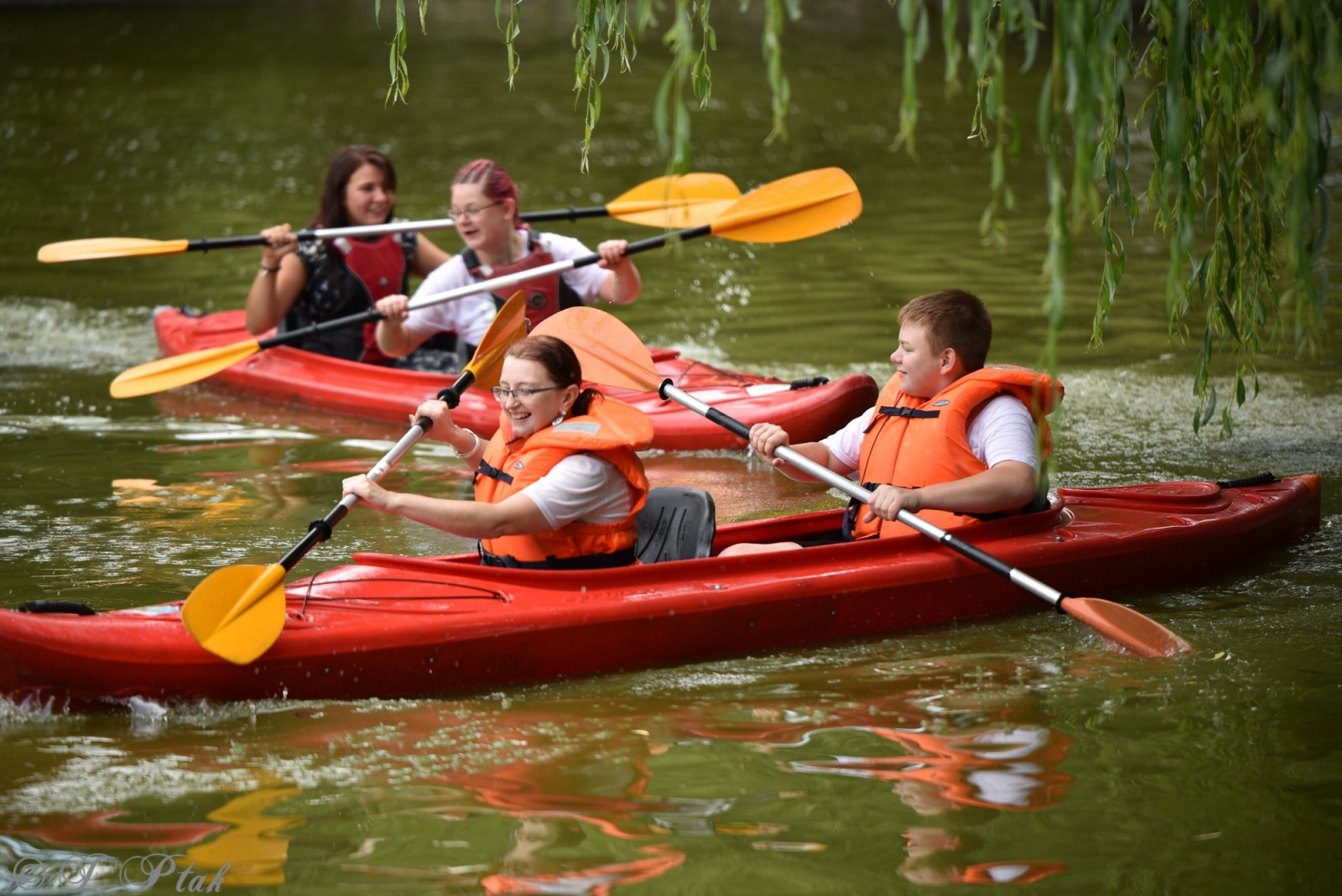 Zdjęcie w galerii na portalu naszraciborz.pl: Festiwal Górnej Odry przeniósł się do parku m. Roth wiadomości z regionu
