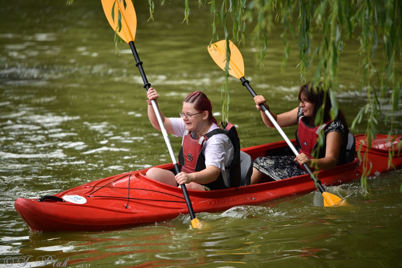 Zdjęcie w galerii na portalu naszraciborz.pl: Festiwal Górnej Odry przeniósł się do parku m. Roth wiadomości z regionu