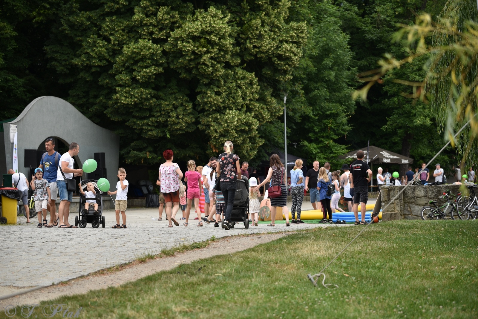 Zdjęcie w galerii na portalu naszraciborz.pl: Festiwal Górnej Odry przeniósł się do parku m. Roth wiadomości z regionu
