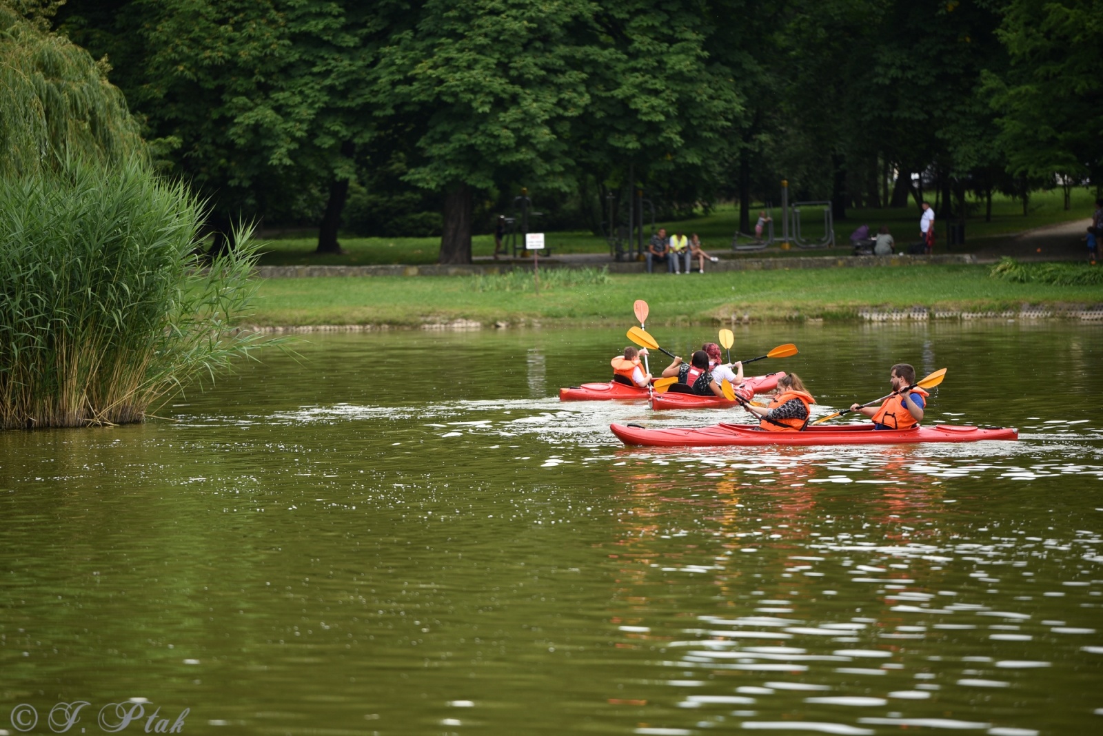 Zdjęcie w galerii na portalu naszraciborz.pl: Festiwal Górnej Odry przeniósł się do parku m. Roth wiadomości z regionu