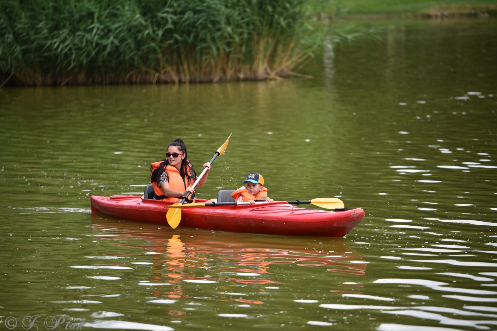 Zdjęcie w galerii na portalu naszraciborz.pl: Festiwal Górnej Odry przeniósł się do parku m. Roth wiadomości z regionu