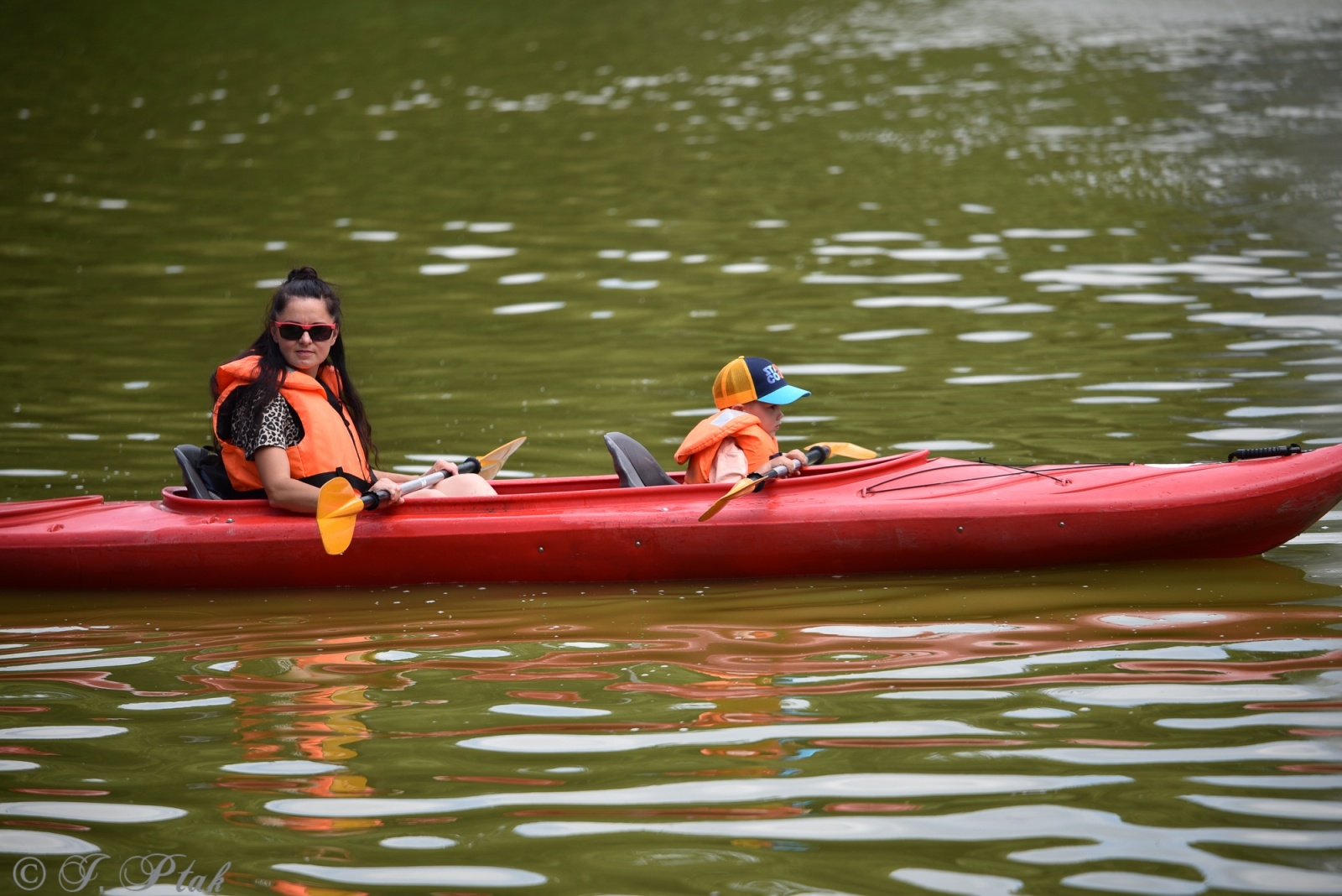Zdjęcie w galerii na portalu naszraciborz.pl: Festiwal Górnej Odry przeniósł się do parku m. Roth wiadomości z regionu