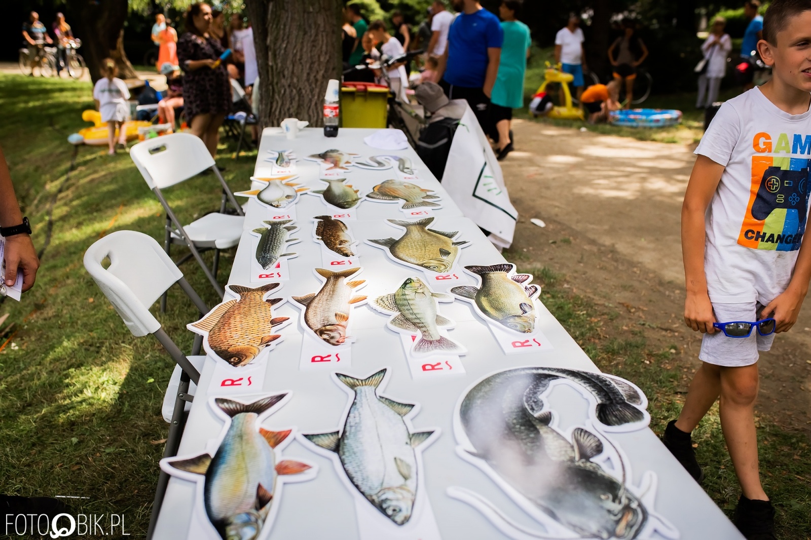 Zdjęcie w galerii na portalu naszraciborz.pl: Festiwal Górnej Odry przeniósł się do parku m. Roth wiadomości z regionu