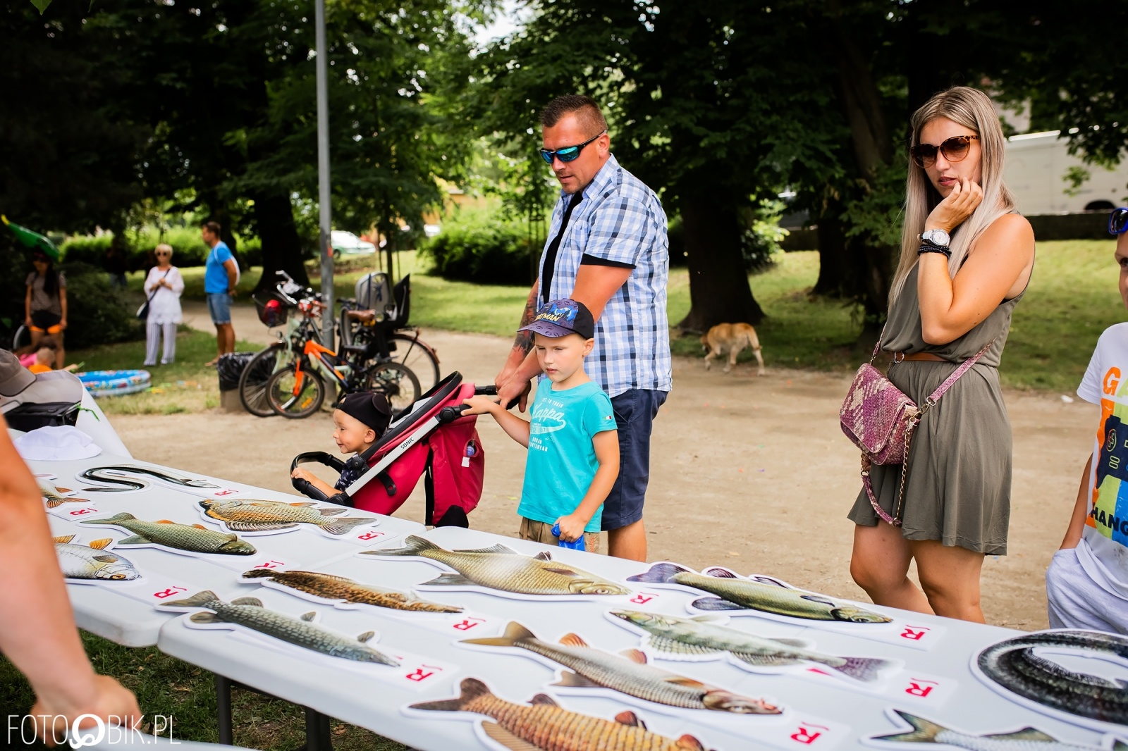 Zdjęcie w galerii na portalu naszraciborz.pl: Festiwal Górnej Odry przeniósł się do parku m. Roth wiadomości z regionu