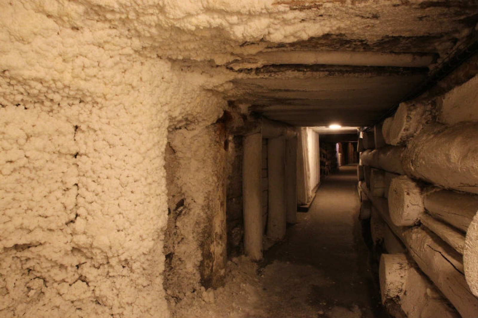 Zdjęcie w galerii na portalu naszraciborz.pl: Tyniec i Wieliczka. Orinoko zaprasza na wyprawę do skarbów ziemi krakowskiej wiadomości z regionu