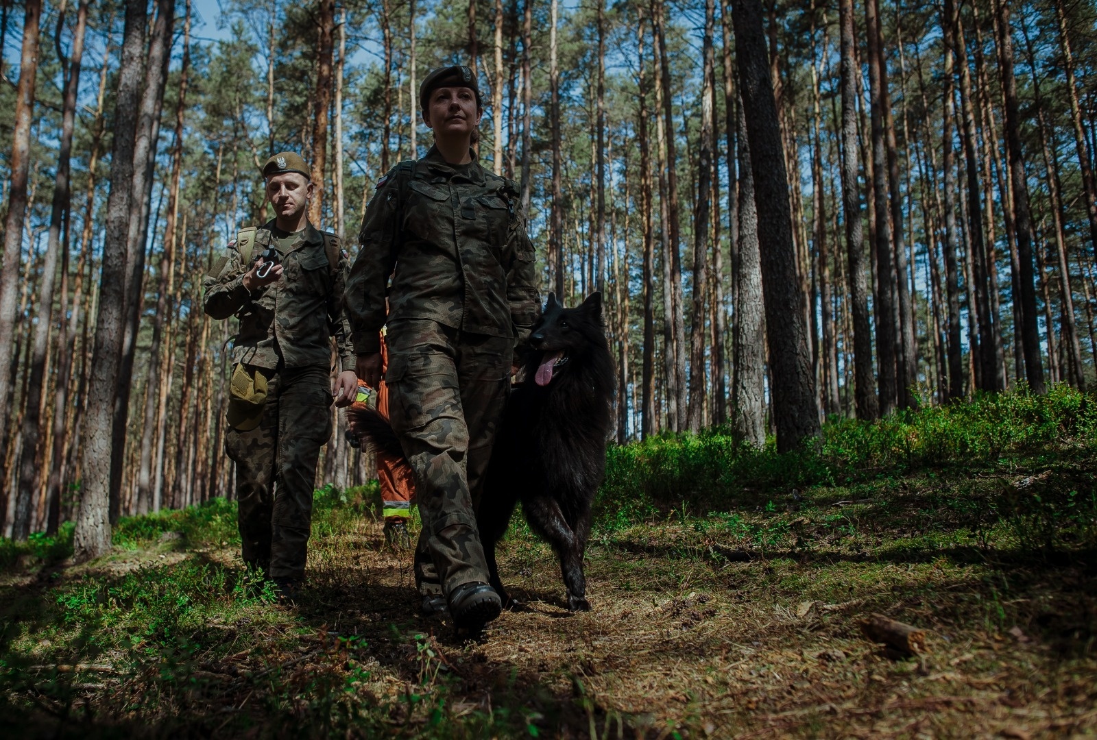 Zdjęcie w galerii na portalu naszraciborz.pl: Dzień Psa u śląskich terytorialsów wiadomości z regionu
