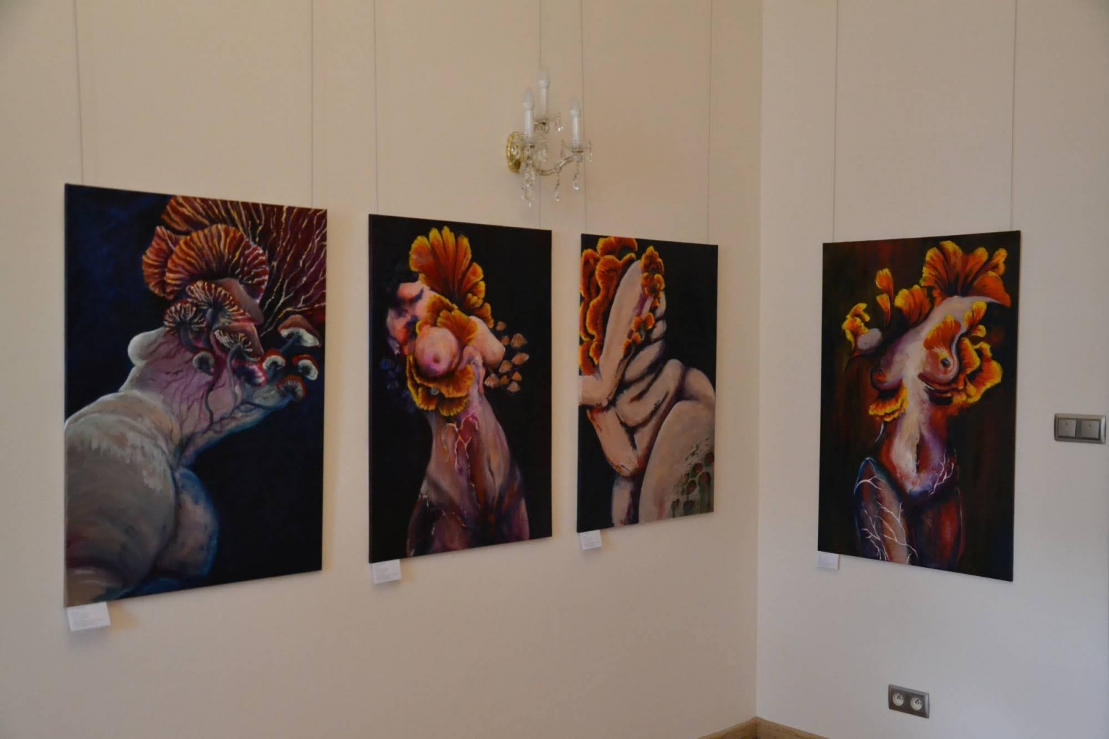 Zdjęcie w galerii na portalu naszraciborz.pl: Wystawa dyplomów artystycznych - wernisaż na Zamku Piastowskim wiadomości z regionu