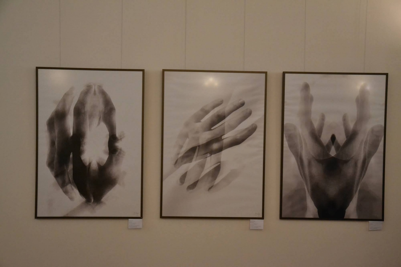 Zdjęcie w galerii na portalu naszraciborz.pl: Wystawa dyplomów artystycznych - wernisaż na Zamku Piastowskim wiadomości z regionu