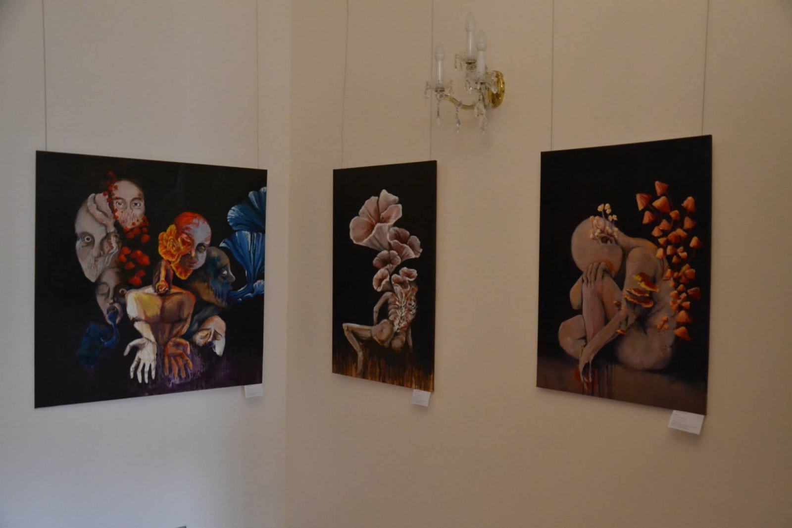 Zdjęcie w galerii na portalu naszraciborz.pl: Wystawa dyplomów artystycznych - wernisaż na Zamku Piastowskim wiadomości z regionu