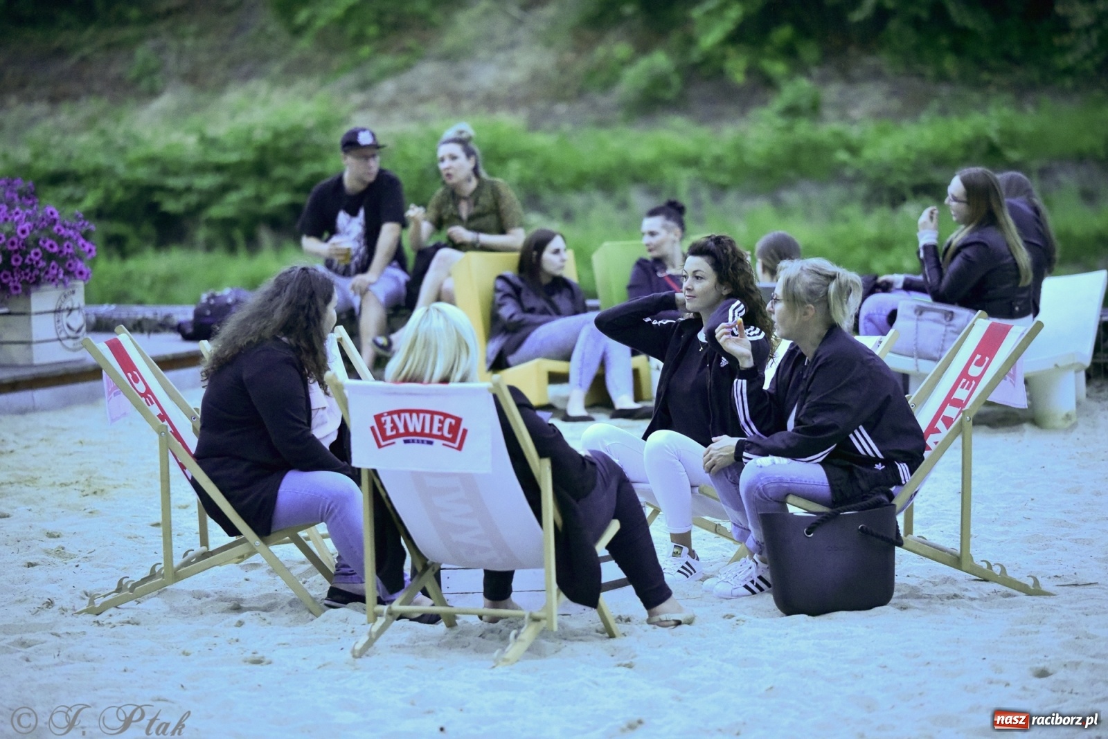 Zdjęcie w galerii na portalu naszraciborz.pl: Nowy operator plaży postawił na karaoke wiadomości z regionu