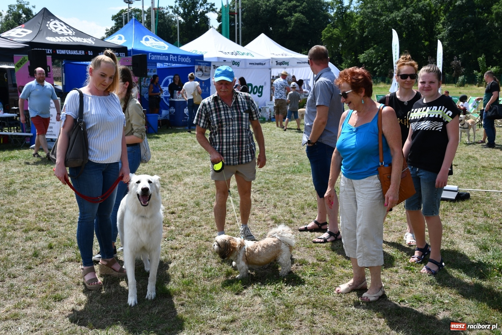 Zdjęcie w galerii na portalu naszraciborz.pl: I raciborskie zawody w dogtrekkingu [FOTO i WIDEO] wiadomości z regionu
