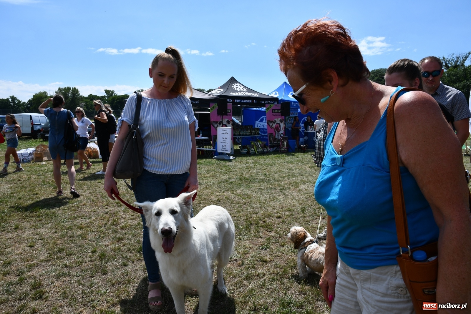 Zdjęcie w galerii na portalu naszraciborz.pl: I raciborskie zawody w dogtrekkingu [FOTO i WIDEO] wiadomości z regionu