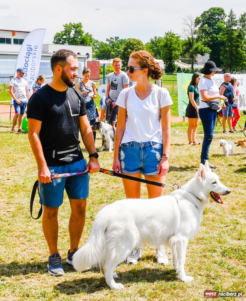 Zdjęcie w galerii na portalu naszraciborz.pl: I raciborskie zawody w dogtrekkingu [FOTO i WIDEO] wiadomości z regionu