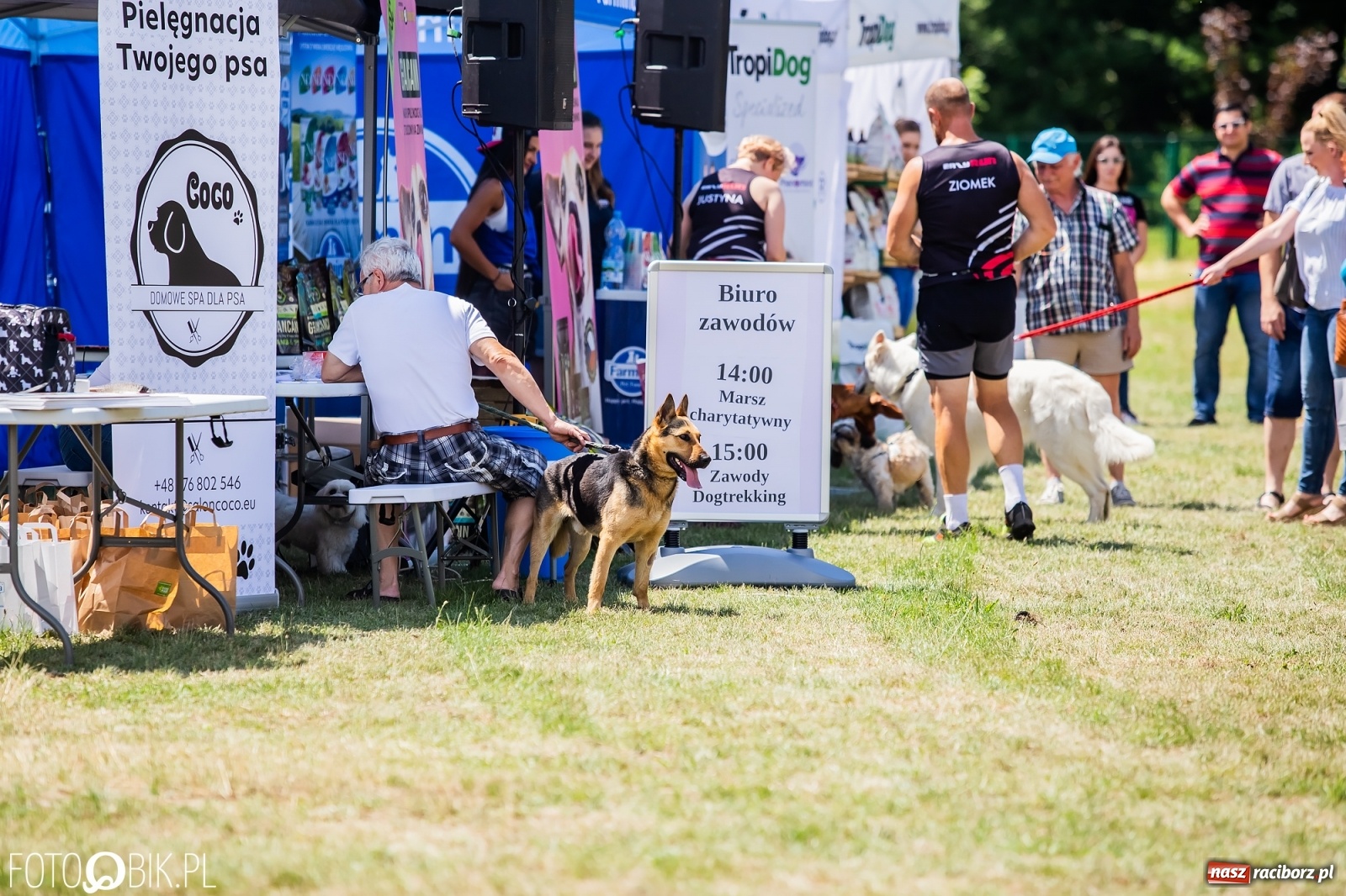 Zdjęcie w galerii na portalu naszraciborz.pl: I raciborskie zawody w dogtrekkingu [FOTO i WIDEO] wiadomości z regionu