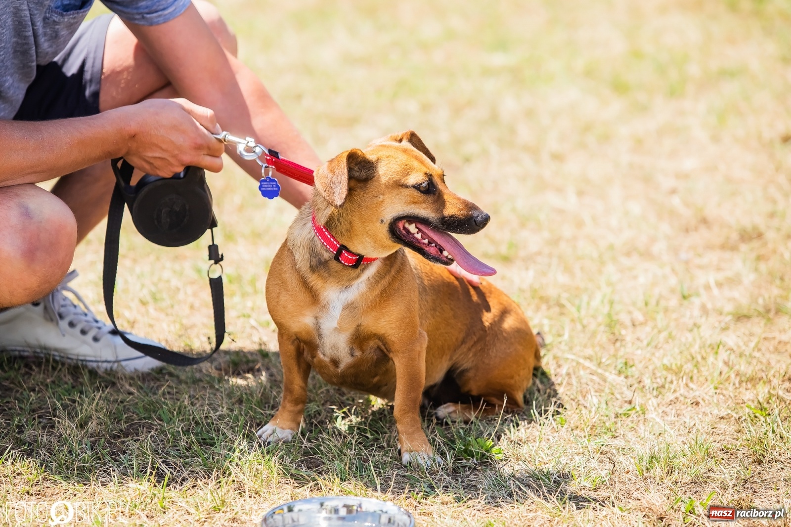 Zdjęcie w galerii na portalu naszraciborz.pl: I raciborskie zawody w dogtrekkingu [FOTO i WIDEO] wiadomości z regionu
