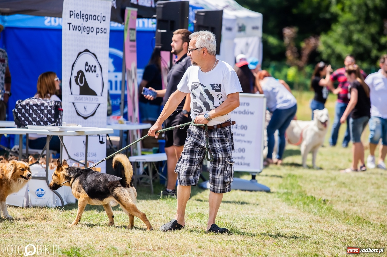 Zdjęcie w galerii na portalu naszraciborz.pl: I raciborskie zawody w dogtrekkingu [FOTO i WIDEO] wiadomości z regionu