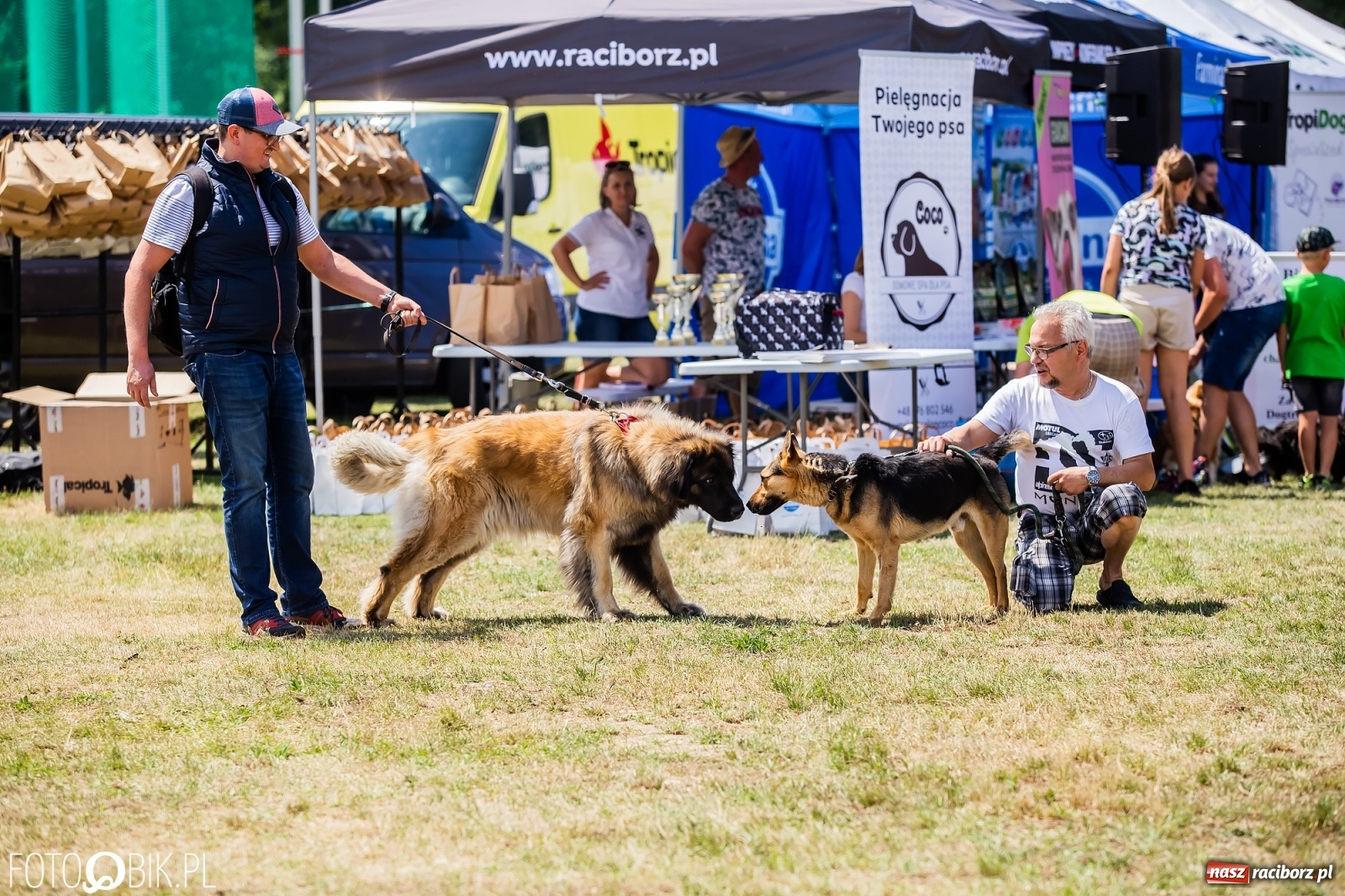 Zdjęcie w galerii na portalu naszraciborz.pl: I raciborskie zawody w dogtrekkingu [FOTO i WIDEO] wiadomości z regionu