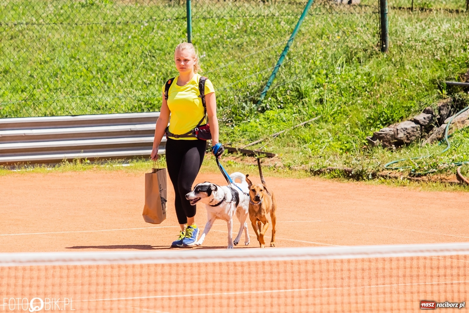 Zdjęcie w galerii na portalu naszraciborz.pl: I raciborskie zawody w dogtrekkingu [FOTO i WIDEO] wiadomości z regionu
