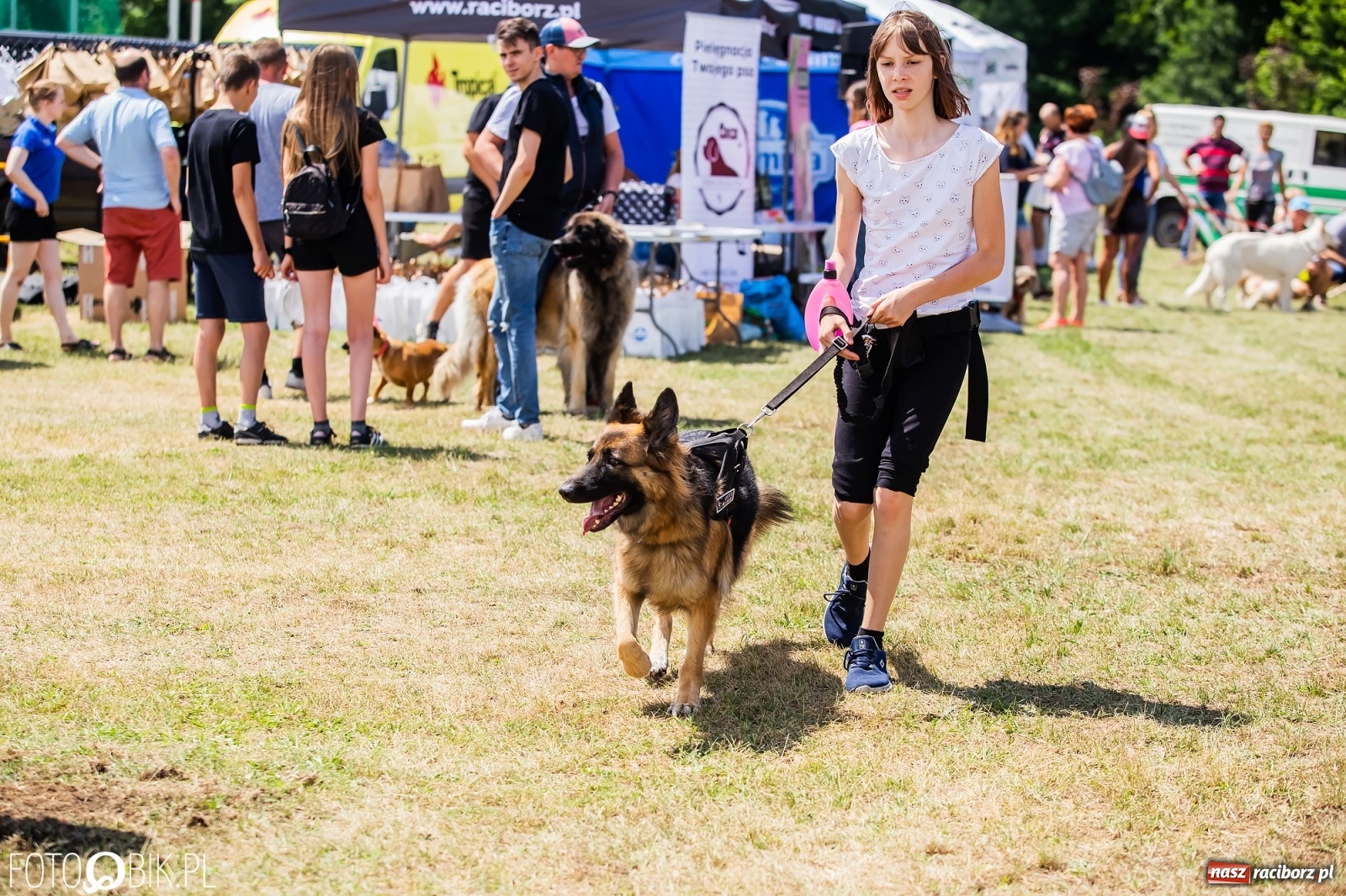 Zdjęcie w galerii na portalu naszraciborz.pl: I raciborskie zawody w dogtrekkingu [FOTO i WIDEO] wiadomości z regionu