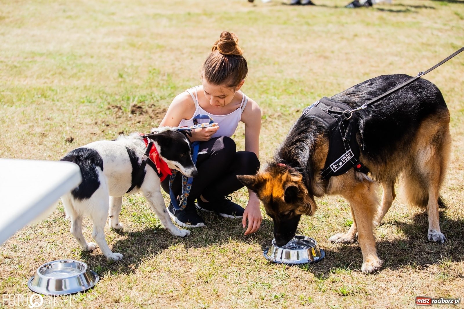 Zdjęcie w galerii na portalu naszraciborz.pl: I raciborskie zawody w dogtrekkingu [FOTO i WIDEO] wiadomości z regionu