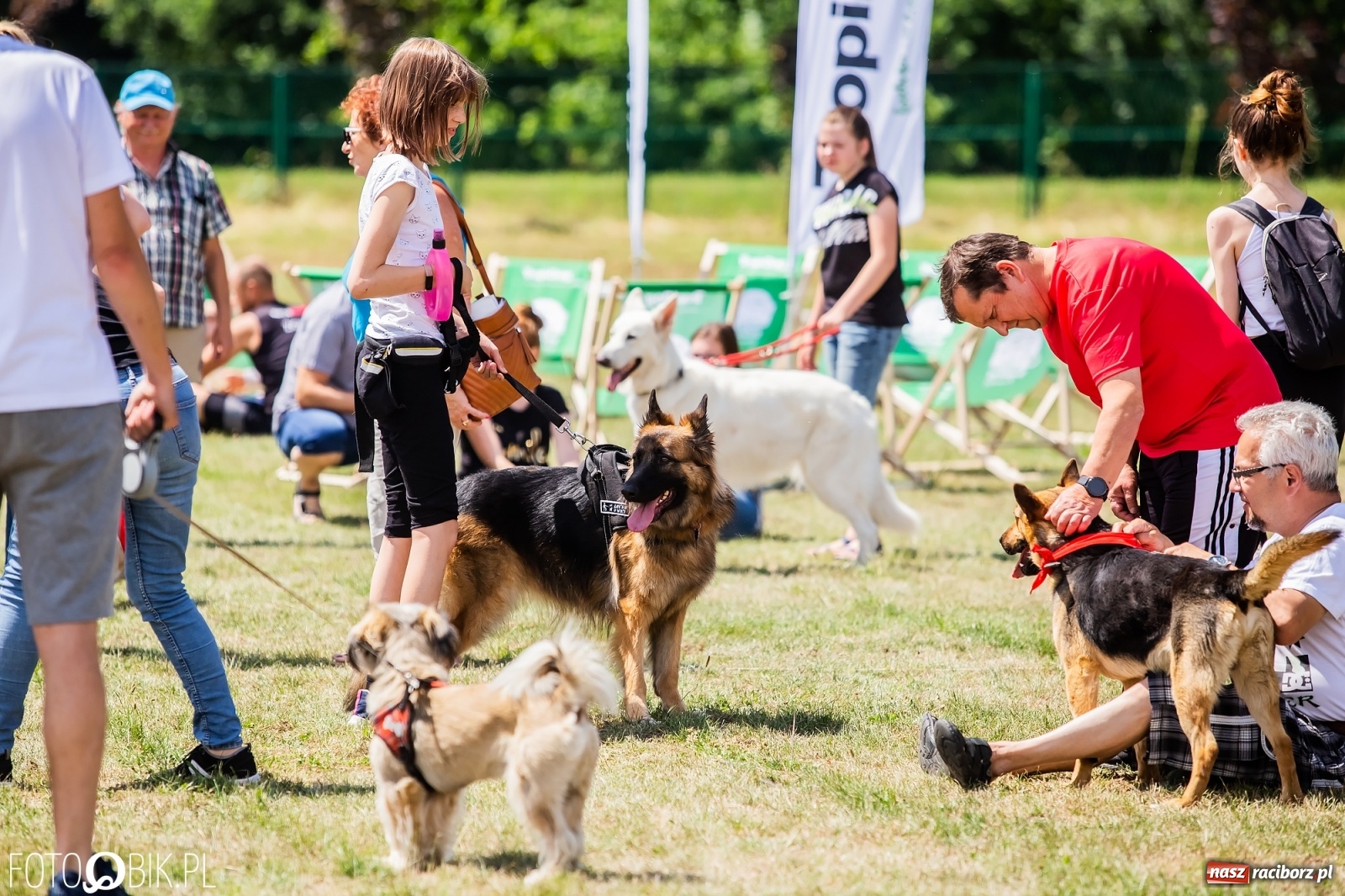 Zdjęcie w galerii na portalu naszraciborz.pl: I raciborskie zawody w dogtrekkingu [FOTO i WIDEO] wiadomości z regionu