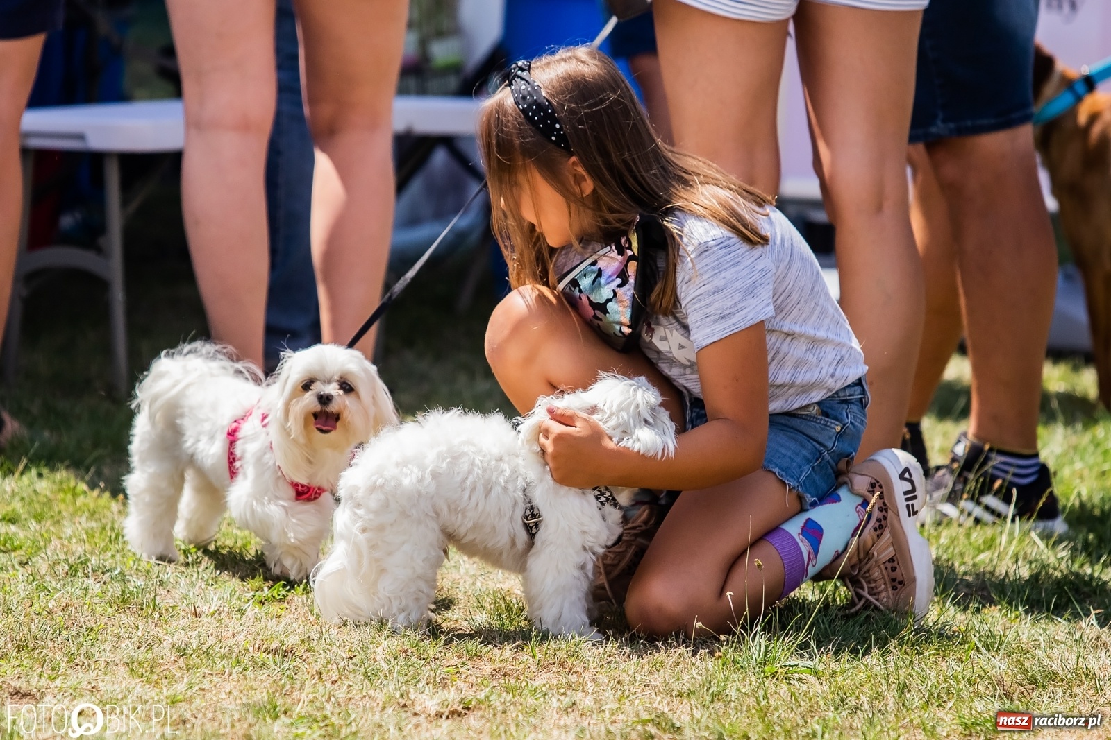 Zdjęcie w galerii na portalu naszraciborz.pl: I raciborskie zawody w dogtrekkingu [FOTO i WIDEO] wiadomości z regionu