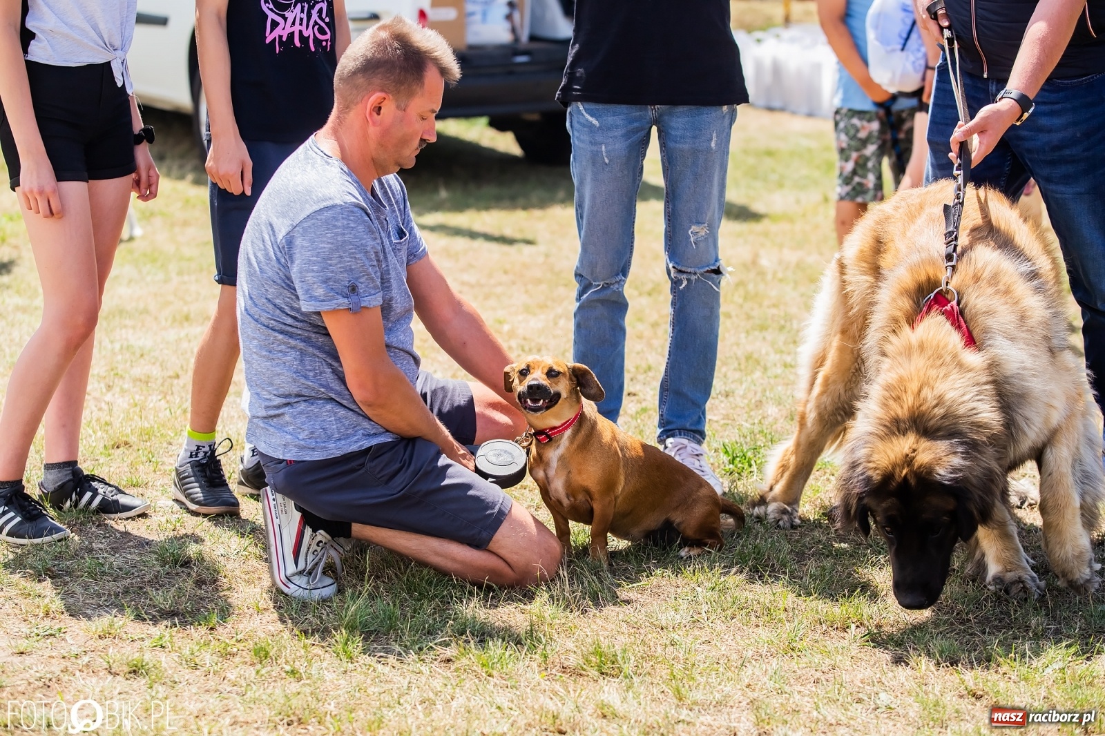 Zdjęcie w galerii na portalu naszraciborz.pl: I raciborskie zawody w dogtrekkingu [FOTO i WIDEO] wiadomości z regionu