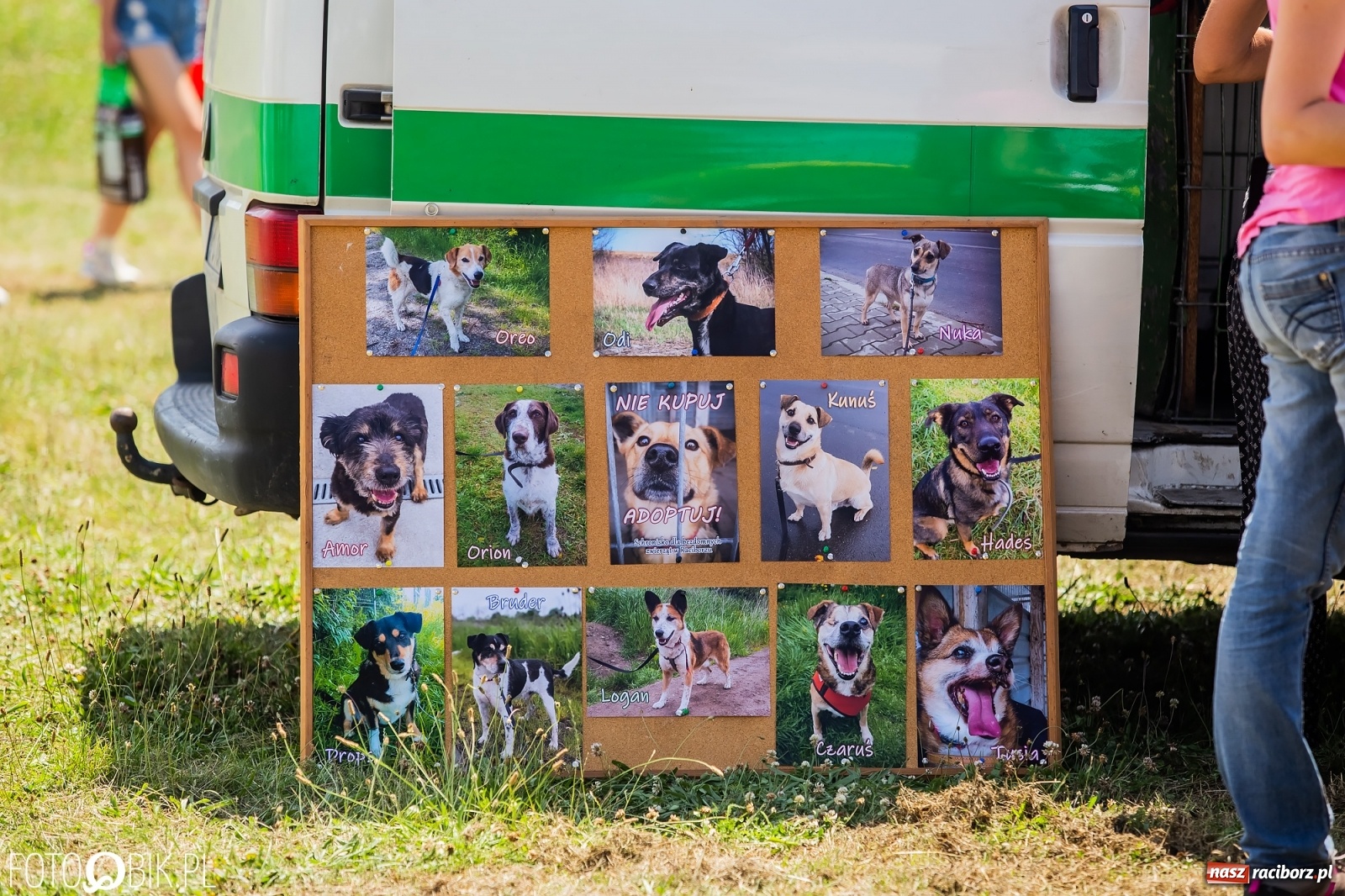 Zdjęcie w galerii na portalu naszraciborz.pl: I raciborskie zawody w dogtrekkingu [FOTO i WIDEO] wiadomości z regionu