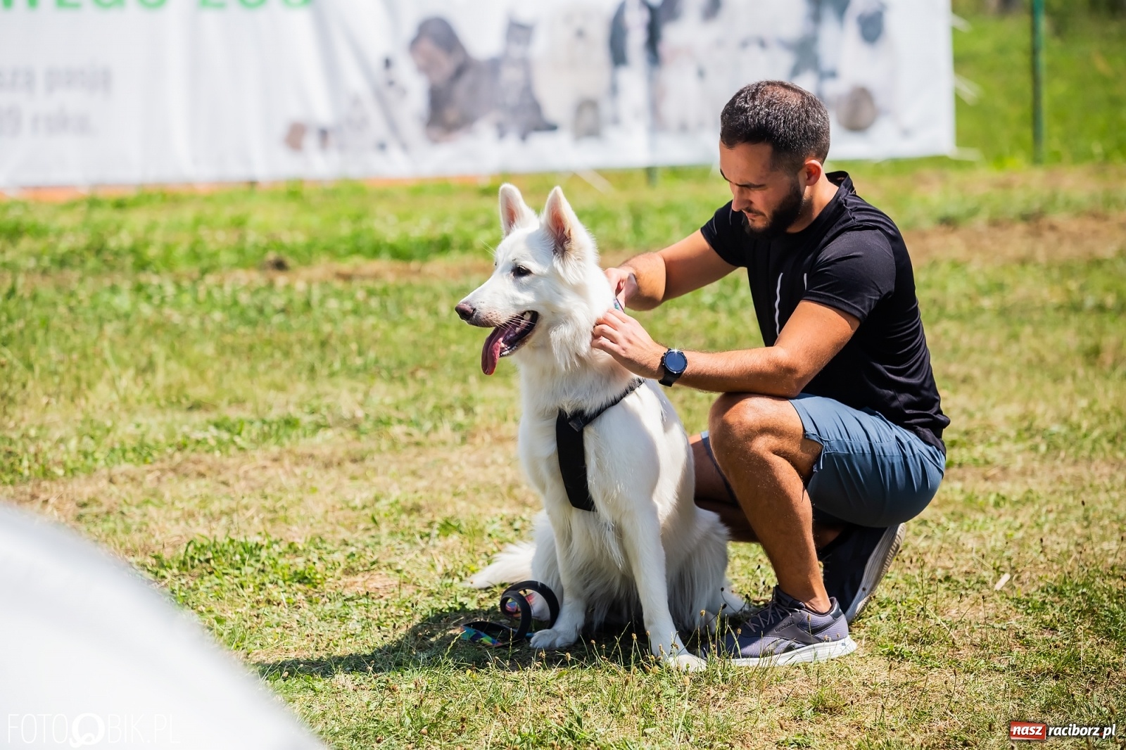 Zdjęcie w galerii na portalu naszraciborz.pl: I raciborskie zawody w dogtrekkingu [FOTO i WIDEO] wiadomości z regionu