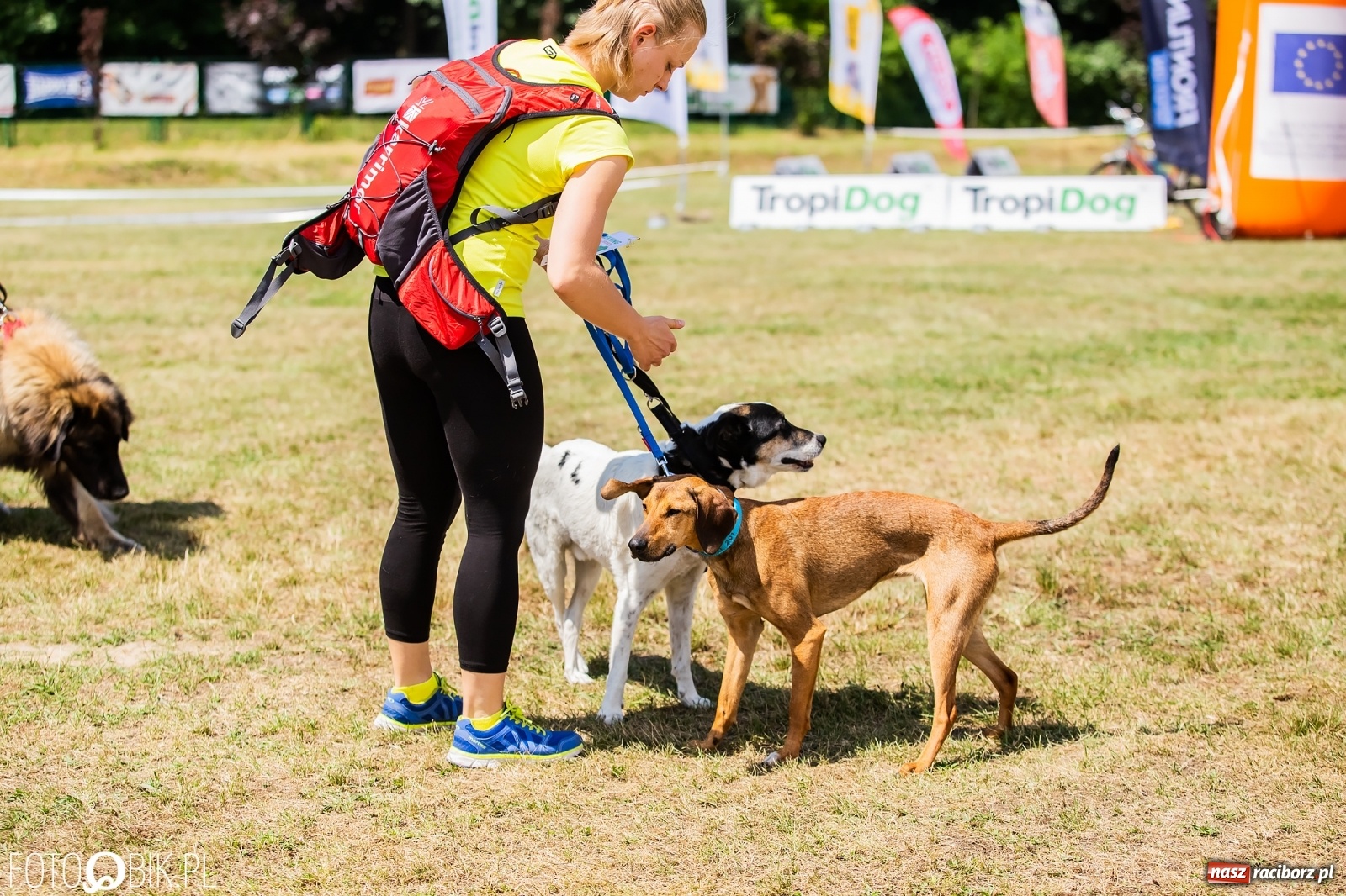 Zdjęcie w galerii na portalu naszraciborz.pl: I raciborskie zawody w dogtrekkingu [FOTO i WIDEO] wiadomości z regionu