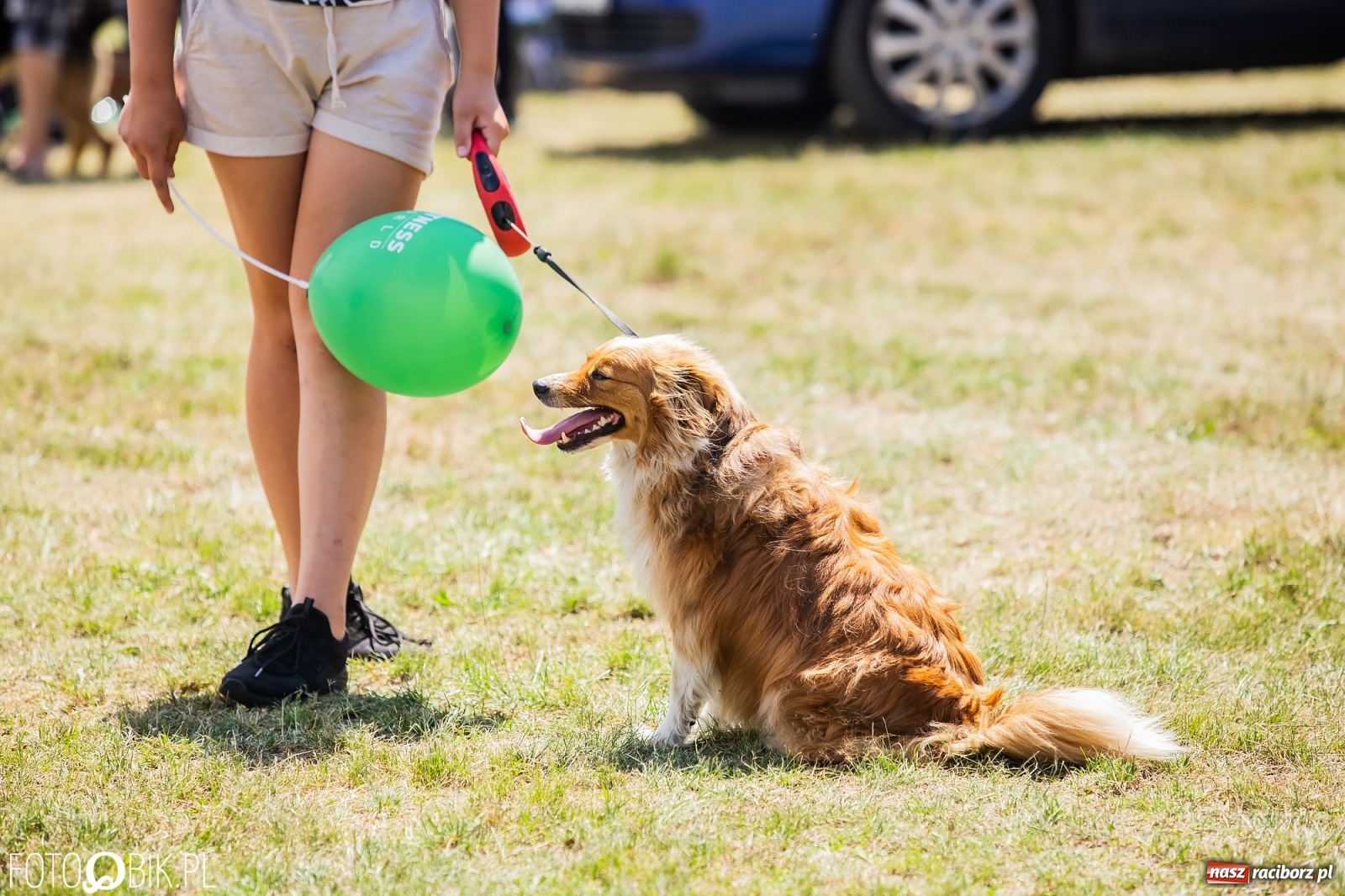 Zdjęcie w galerii na portalu naszraciborz.pl: I raciborskie zawody w dogtrekkingu [FOTO i WIDEO] wiadomości z regionu