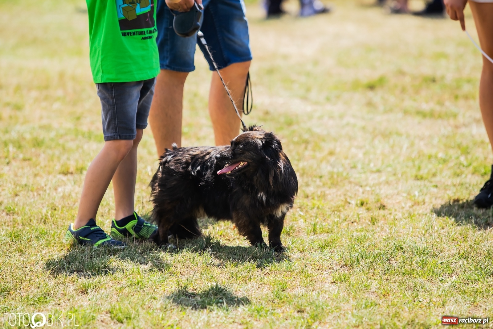 Zdjęcie w galerii na portalu naszraciborz.pl: I raciborskie zawody w dogtrekkingu [FOTO i WIDEO] wiadomości z regionu