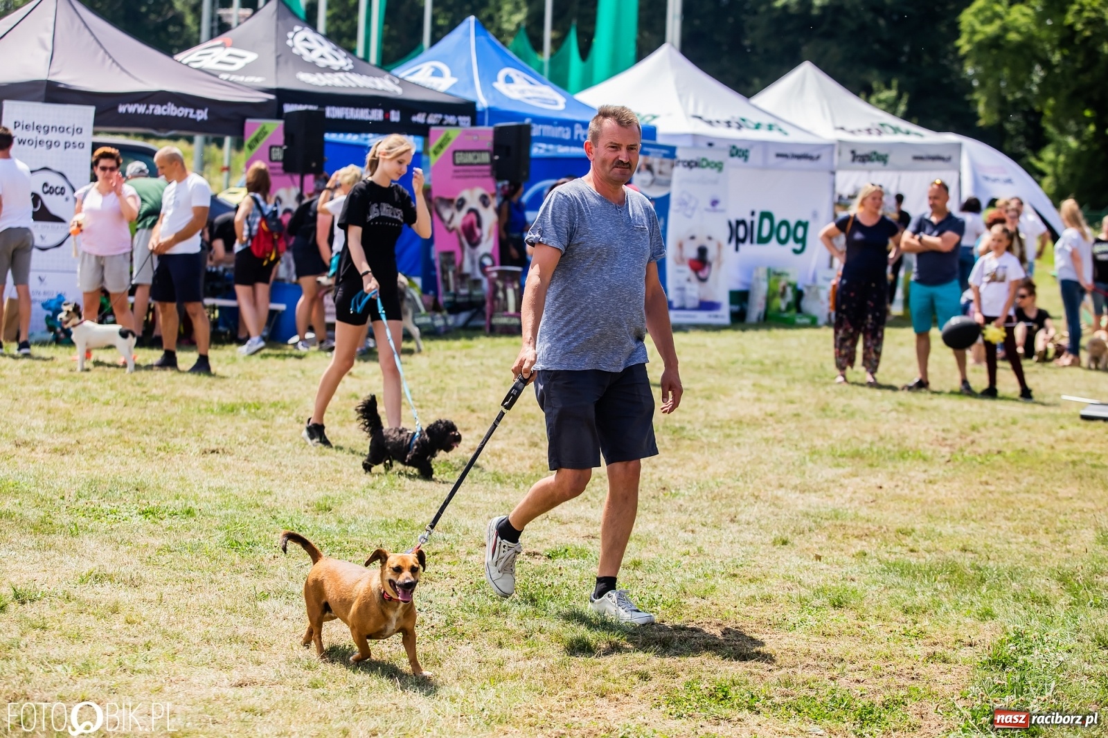 Zdjęcie w galerii na portalu naszraciborz.pl: I raciborskie zawody w dogtrekkingu [FOTO i WIDEO] wiadomości z regionu