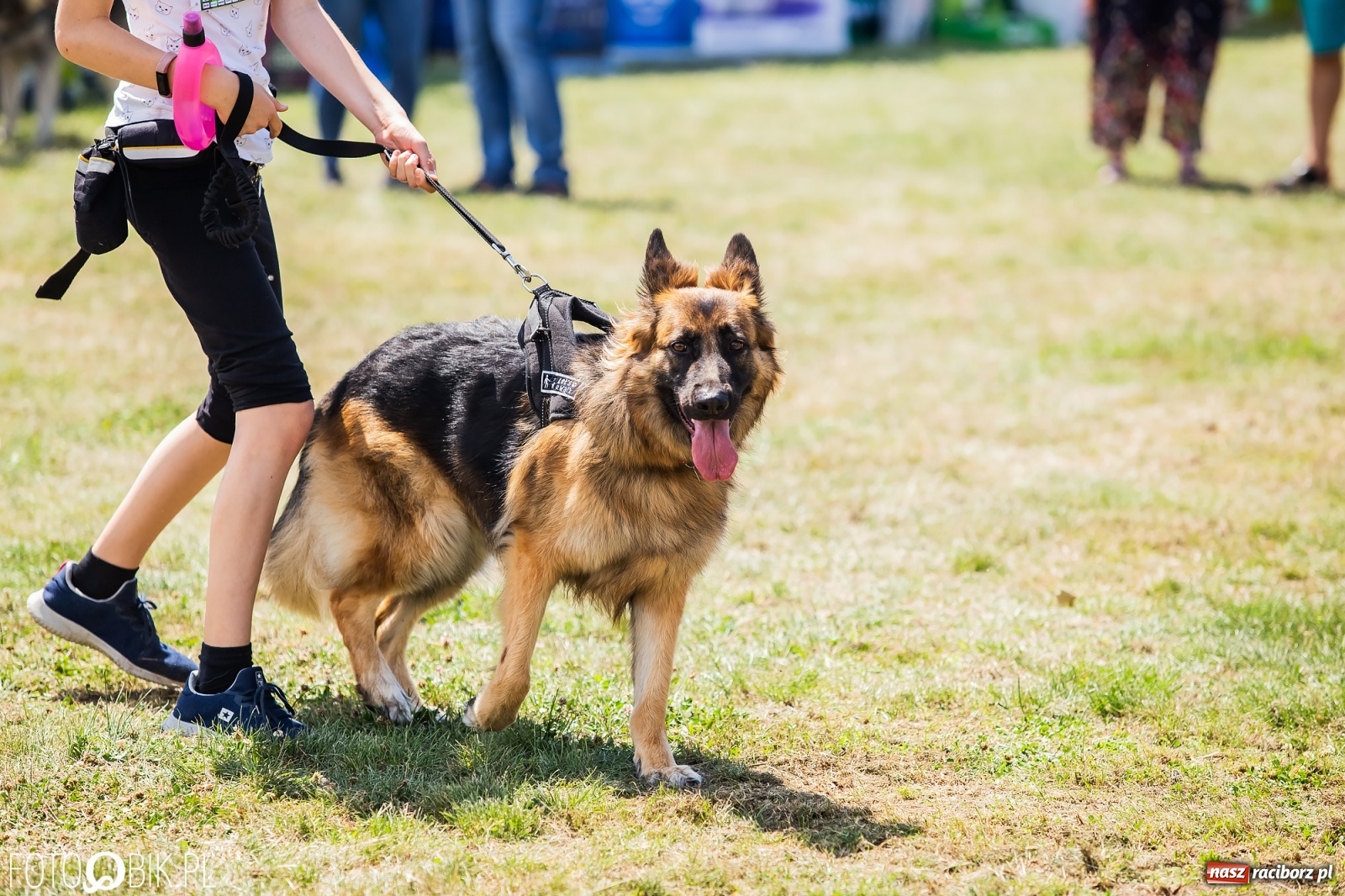 Zdjęcie w galerii na portalu naszraciborz.pl: I raciborskie zawody w dogtrekkingu [FOTO i WIDEO] wiadomości z regionu