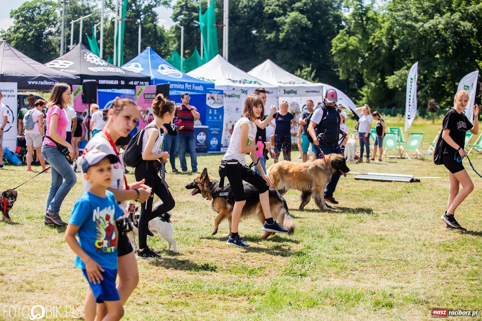 Zdjęcie w galerii na portalu naszraciborz.pl: I raciborskie zawody w dogtrekkingu [FOTO i WIDEO] wiadomości z regionu