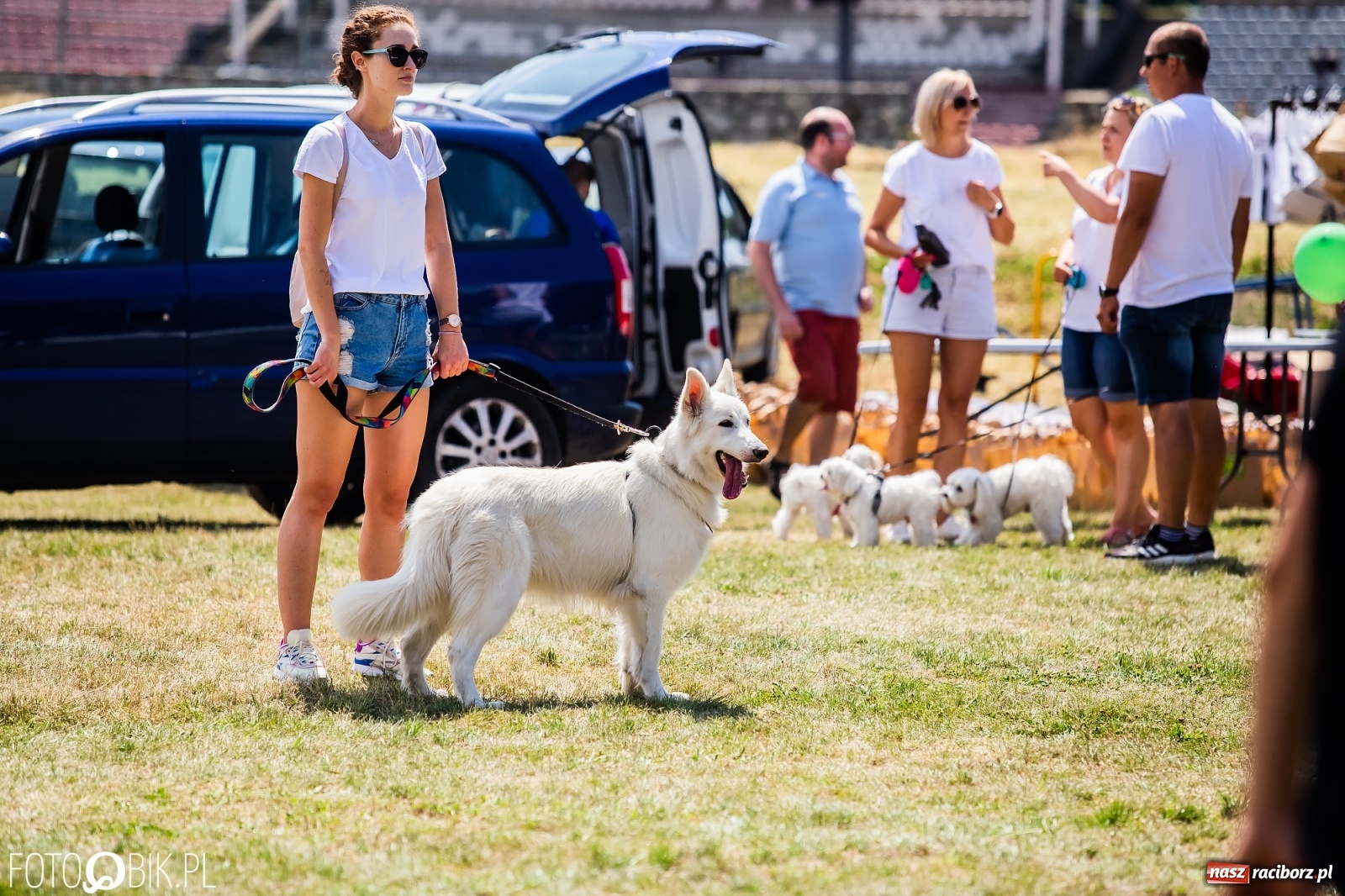 Zdjęcie w galerii na portalu naszraciborz.pl: I raciborskie zawody w dogtrekkingu [FOTO i WIDEO] wiadomości z regionu