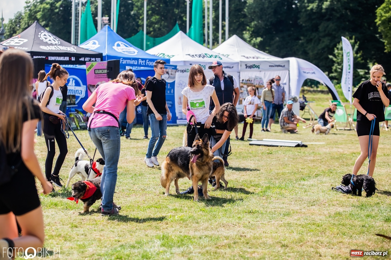 Zdjęcie w galerii na portalu naszraciborz.pl: I raciborskie zawody w dogtrekkingu [FOTO i WIDEO] wiadomości z regionu