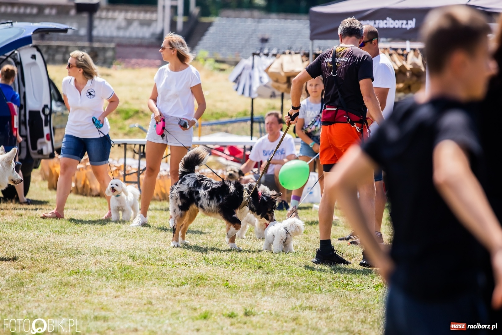 Zdjęcie w galerii na portalu naszraciborz.pl: I raciborskie zawody w dogtrekkingu [FOTO i WIDEO] wiadomości z regionu