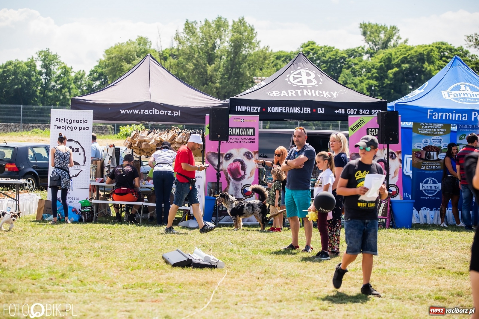Zdjęcie w galerii na portalu naszraciborz.pl: I raciborskie zawody w dogtrekkingu [FOTO i WIDEO] wiadomości z regionu